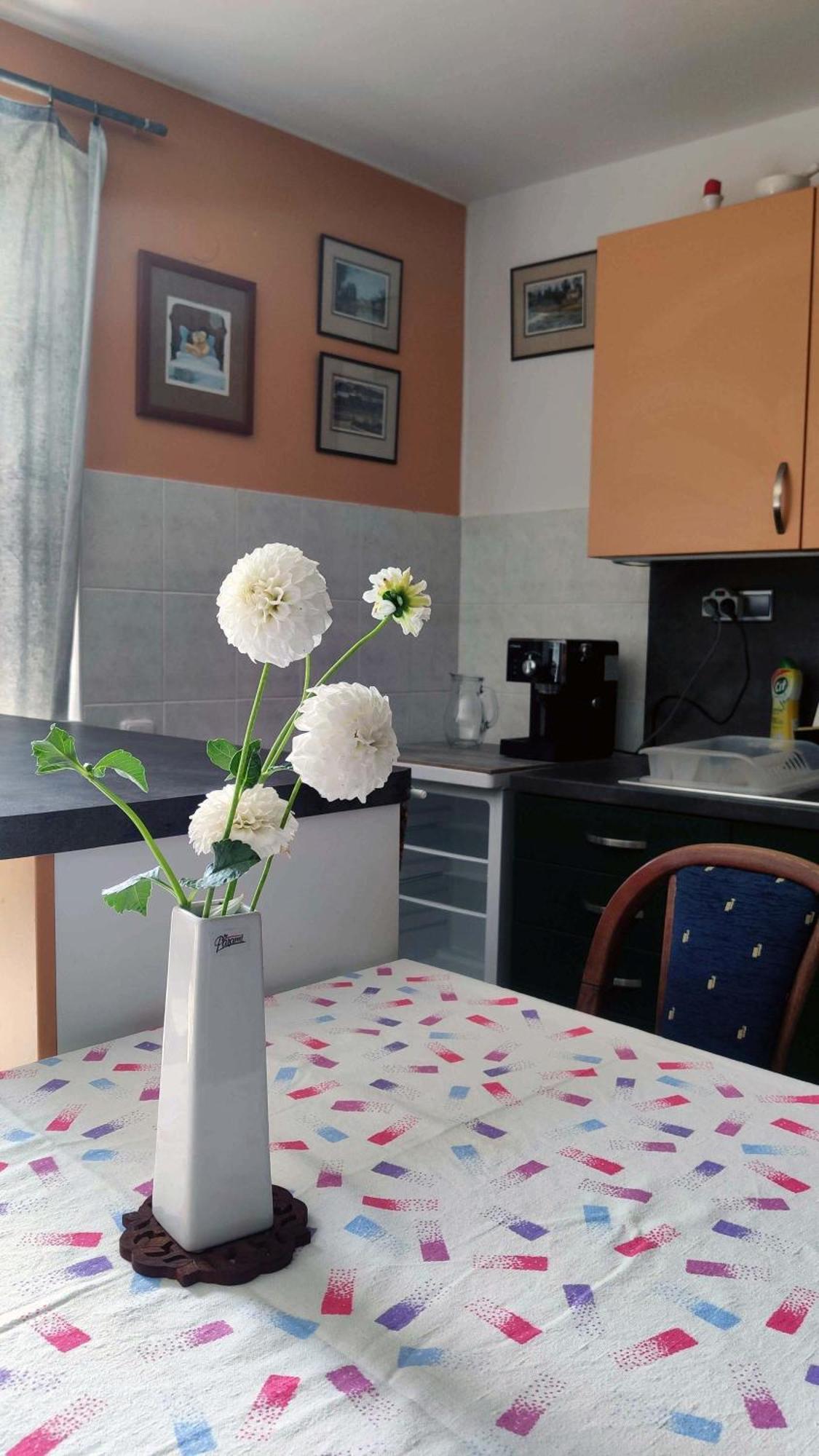 Apartman Ulehla Zlín Exterior foto